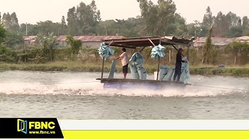 Xuất khẩu cá tra sang EU khởi sắc trở lại | FBNC