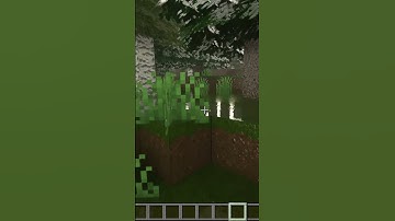 Minecraft with real life graphics 😧 #minecraft