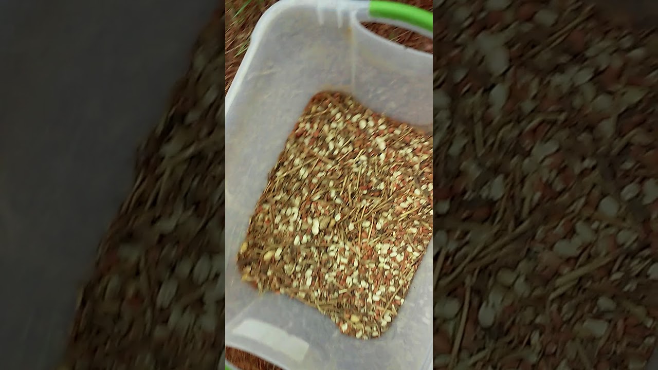 Douglas Feeders Controlled Quiet Feeding For All Animals Youtube