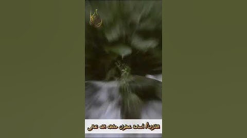 ياالله اجمل صوت سمعته| القارئ أسامة عطران