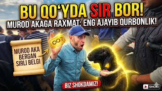24 MAY 😱 QO'Y BOZORI SIRLARI: MUROD AKA NIMA QILDI?