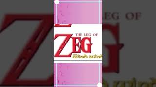 The Leg-end of Zelda