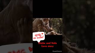 Simba and Nala Love story