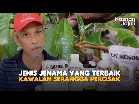 Video: Masa Penggunaan Racun Perosak - Bilakah Masa Terbaik Untuk Menggunakan Racun Perosak