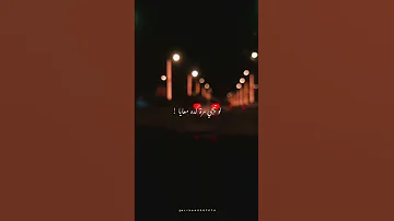 وعلي عيني تبكي عينيك عيني وانت سايبها تامر عاشور 