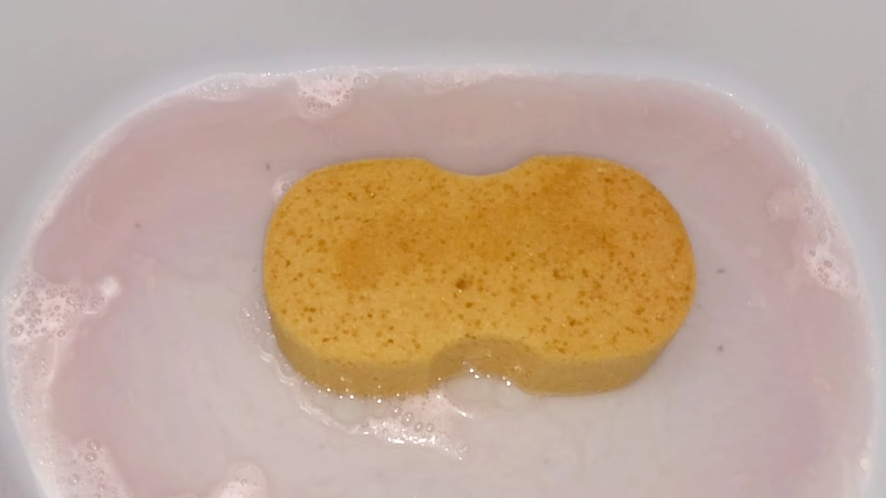 [ASMR] NEW SPONGE - YouTube