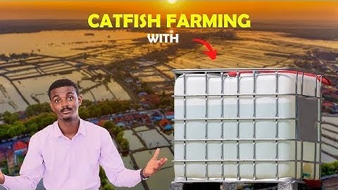 Reduce COST In CATFISH FARMING By Doing This