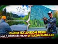 Лучшая рыбалка - горная рыбалка/Трофейный ленок и много хариуса/Пилим залом и жарим блины #4