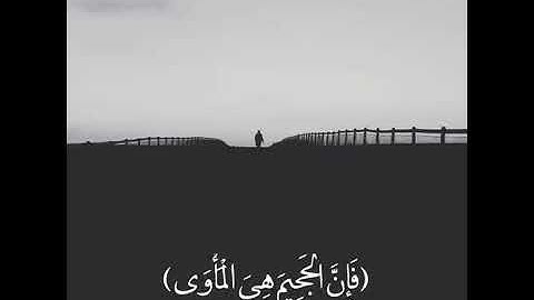 القارئ اسلام صبحي ارح قلبك 👌