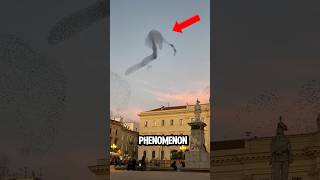 Top 5 Phenomenon That Can Never Be Explained