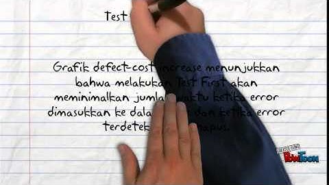 Developer Testing and Debugging