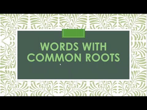 What are root words || Root words for kids #grade3 #rootwords #english #LEARNandTEACH