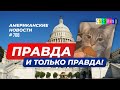 CSBSVNNQ Американские новости - выпуск #708 от 11.04.2022