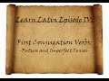 Learn Latin Episode IV: First Conjugation Future and Imperfect Verbs