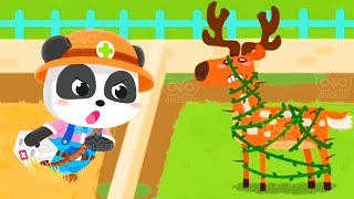 Baby Panda - Care for animals - Become a veterinarian and treat little animals | BabyBus Games by OWLBERT 1,316 views 1 year ago 15 minutes