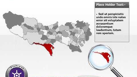 Download Editable Map of Tokyo with High Quality Design