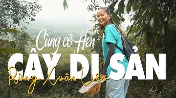 Cùng Cô Hen khám phá cây di sản hơn 1500 tuổi tại rừng Xuân Liên | H