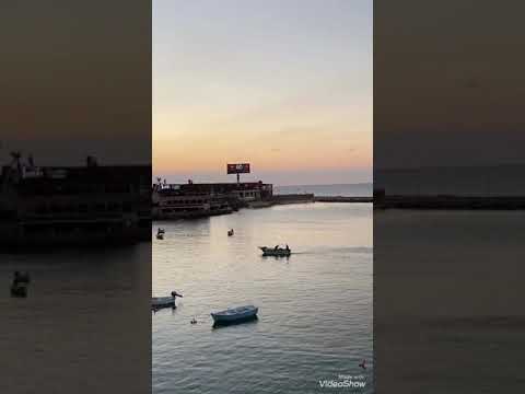 يا غاليين عليا يا اهل اسكندرية