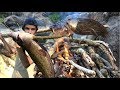 Primitive SPEAR hunting FISH - Catch and Cook! (SPEARFISHING)