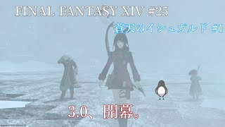 いざイシュガルドへ【FINAL FANTASY XIV 】 #25【蒼天のイシュガルド#1】