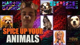 Martin Garrix VS Spice Girls - Spice Up Your Animals (Rappy Mashup)