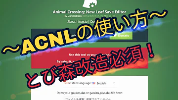 とびだせどうぶつの森改造ツール とびだせどうぶつの森改造ツール