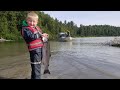 Salmon Fishing Catch & Cook - 50 fish in 4 hrs.