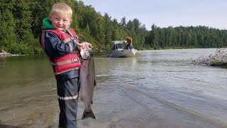 Salmon Fishing Catch &amp; Cook - 50 fish in 4 hrs.