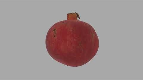 FREE Pomegranate 3D Model 01