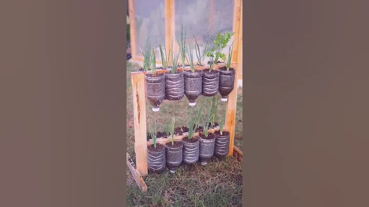 Creating a hanging vegetable garden #garden #roomtogrow #growathome thumbnail