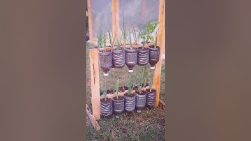 Creating a hanging vegetable garden #garden #roomtogrow #growathome