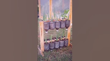 Creating a hanging vegetable garden #garden #roomtogrow #growathome