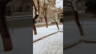 Baku Romantic Snow