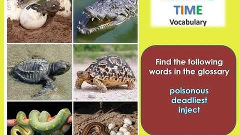 CKLA Grade 3 Unit 2 Lesson 8