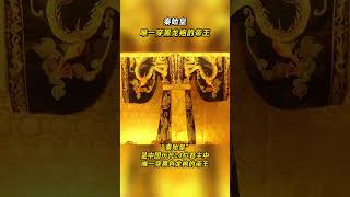 「秦始皇」是中國歷代24位君主中，唯一穿黑色龍袍的帝王！ #秦始皇 #內容啟發搜索