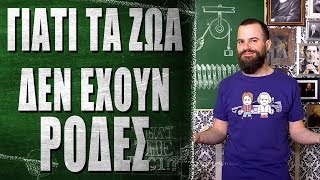 Γιατί τα ζώα δεν έχουν ρόδες - What the Fact?! #17