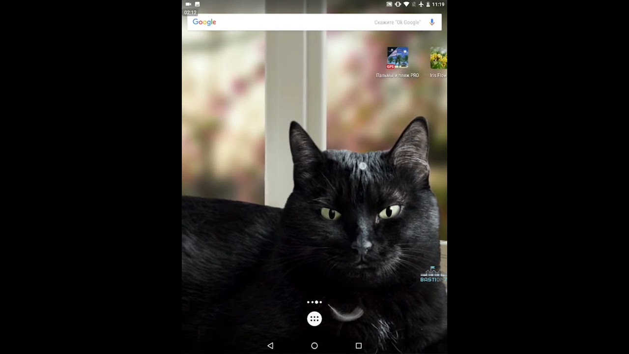 Black cat live wallpaper - YouTube