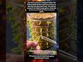 This genius plastic bottle hack grows beautiful plant towers #GardeningHacks#Upcycling#PlantTower