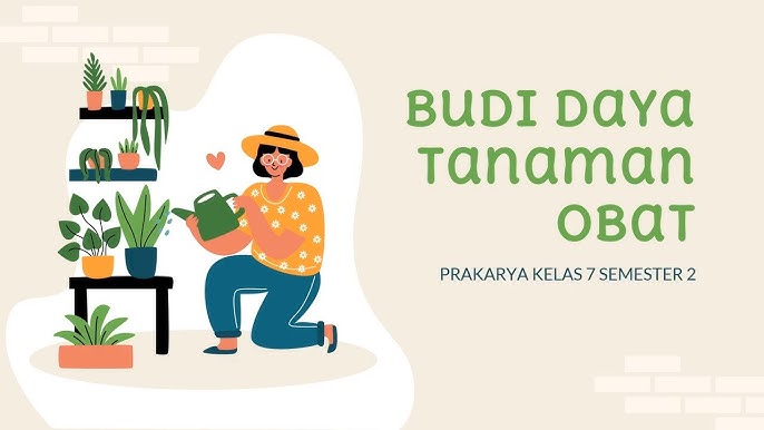 Budidaya Tanaman Obat Prakarya Kelas 7 Smp Youtube