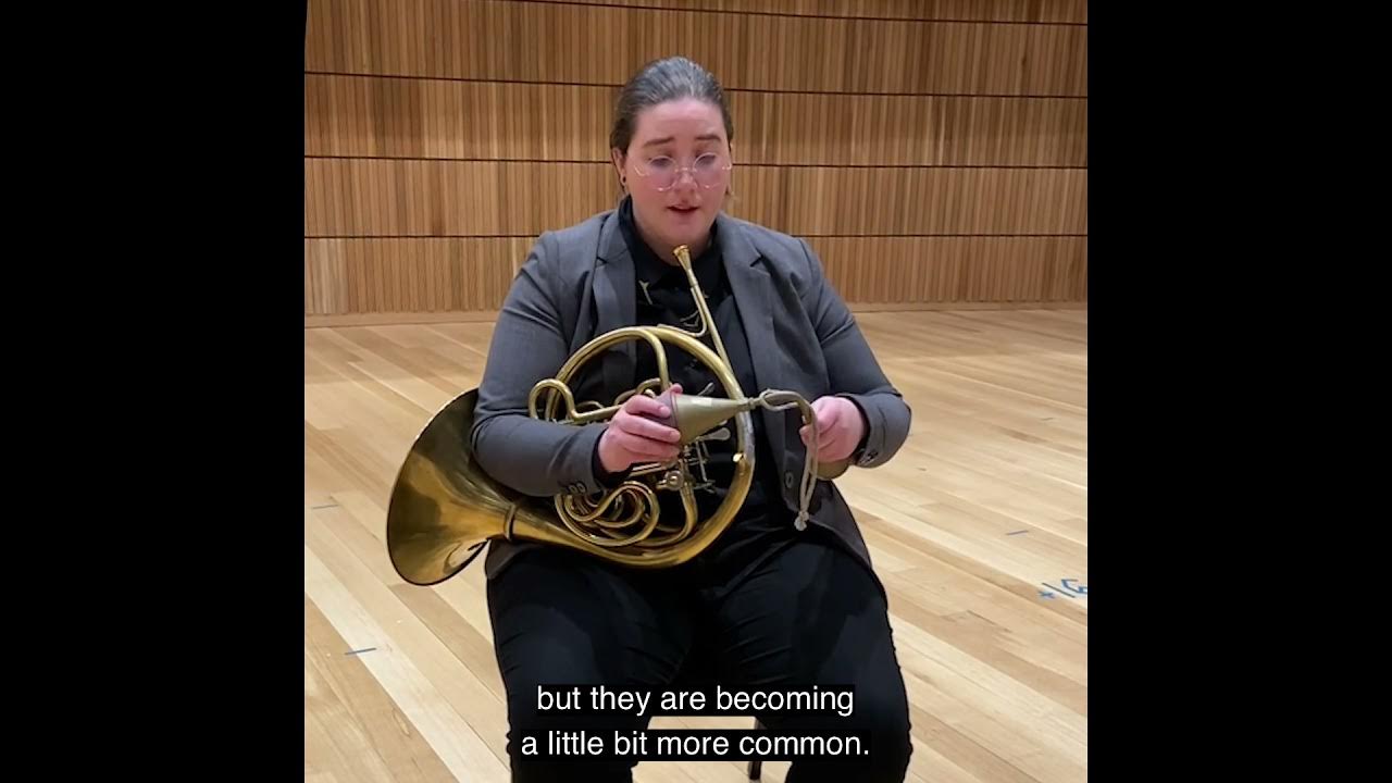 Stopped Horn and Mute Changes Extended Techniques for Horn YouTube