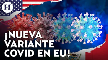 Nueva variante “Flirt” de Covid-19 enciende las alertas en Estados Unidos