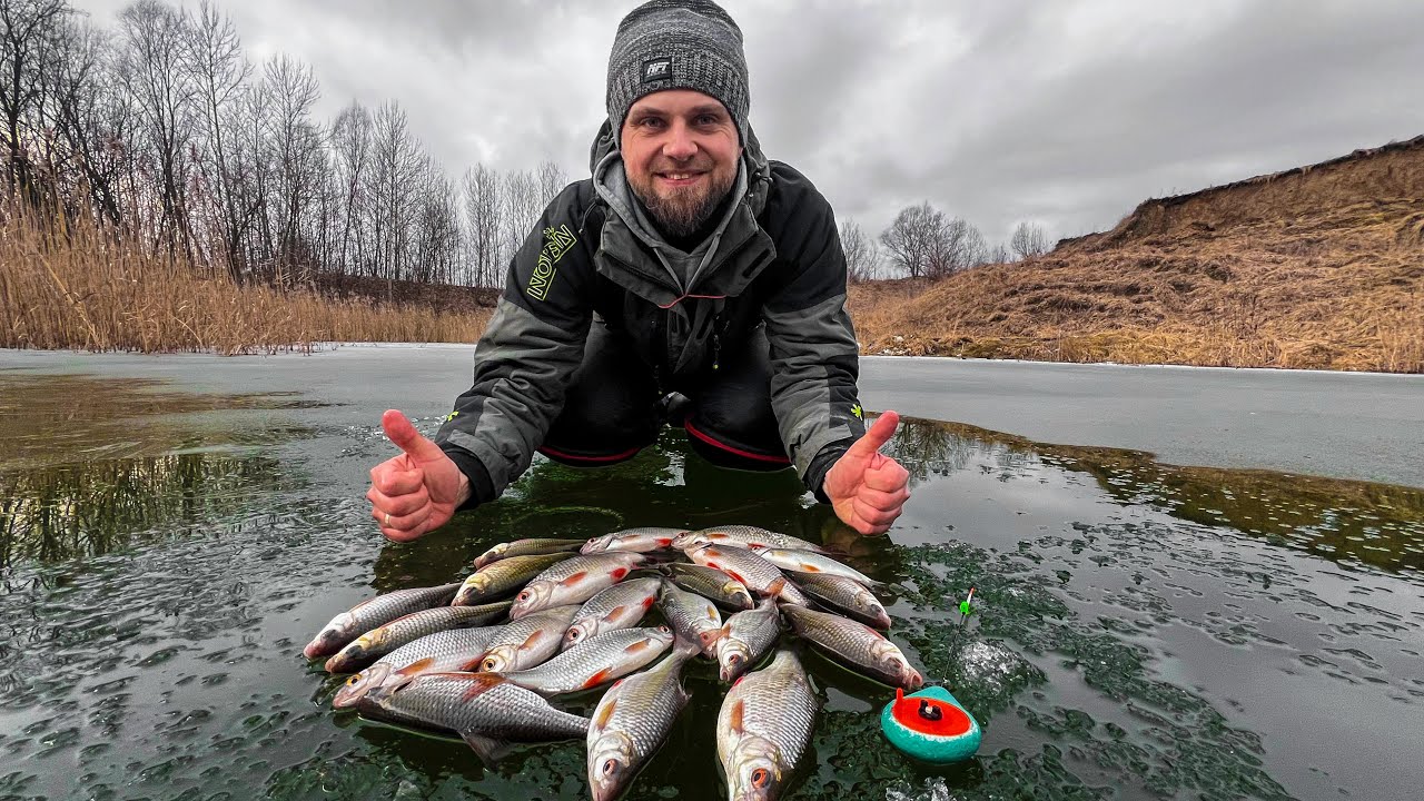 Płocie z ostatniego lodu