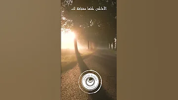 الاماكن محمد عبده 