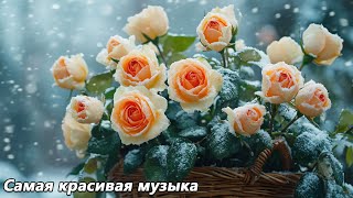 Музыка, исцеляющая душу и сердце🌿Включите и почувствуйте лёгкость🌿Сергей Грищук #3