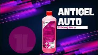 Antigel auto G12   long life concentrat