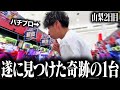【本気実践】3日間見知らぬ土地で立ち回れ‼︎