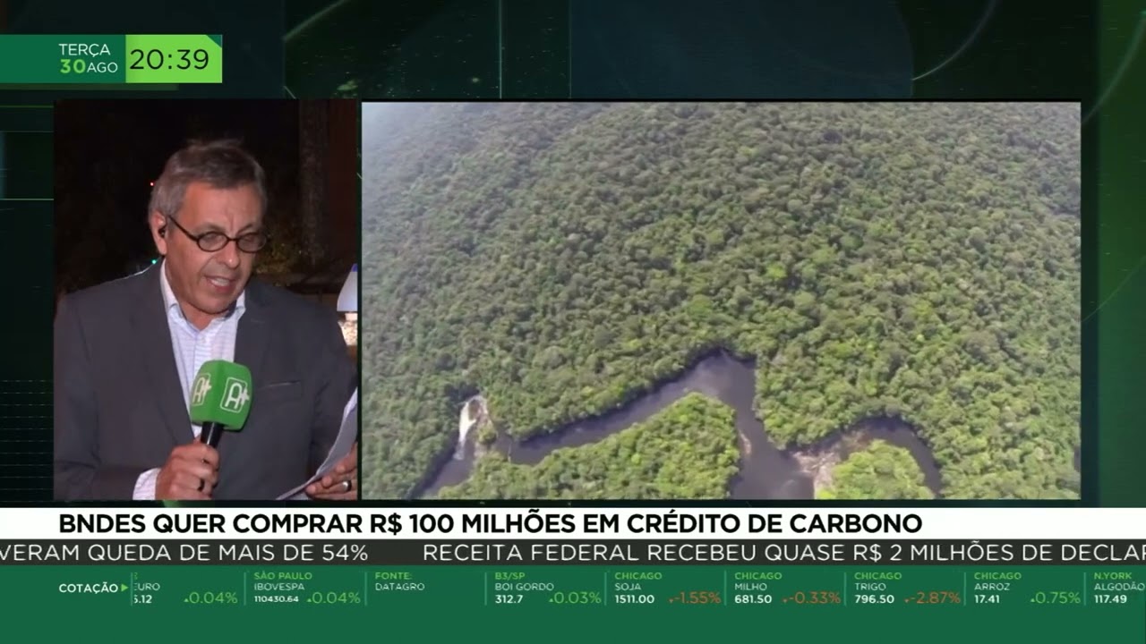 BNDES quer comprar r$ 100 milhões em crédito de carbono