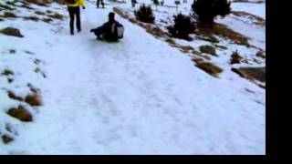 Un pseudo-trineo por la Vall de Núria