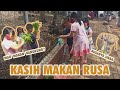 Ikutan Bermain Bersama Rusa || Tempat Mengedukasi Anak Di Depok