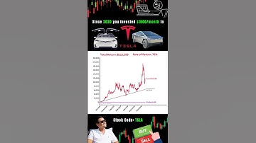 Does investing $1000 monthly in TESLA make you rich? #linechart  #datavisualization #tesla